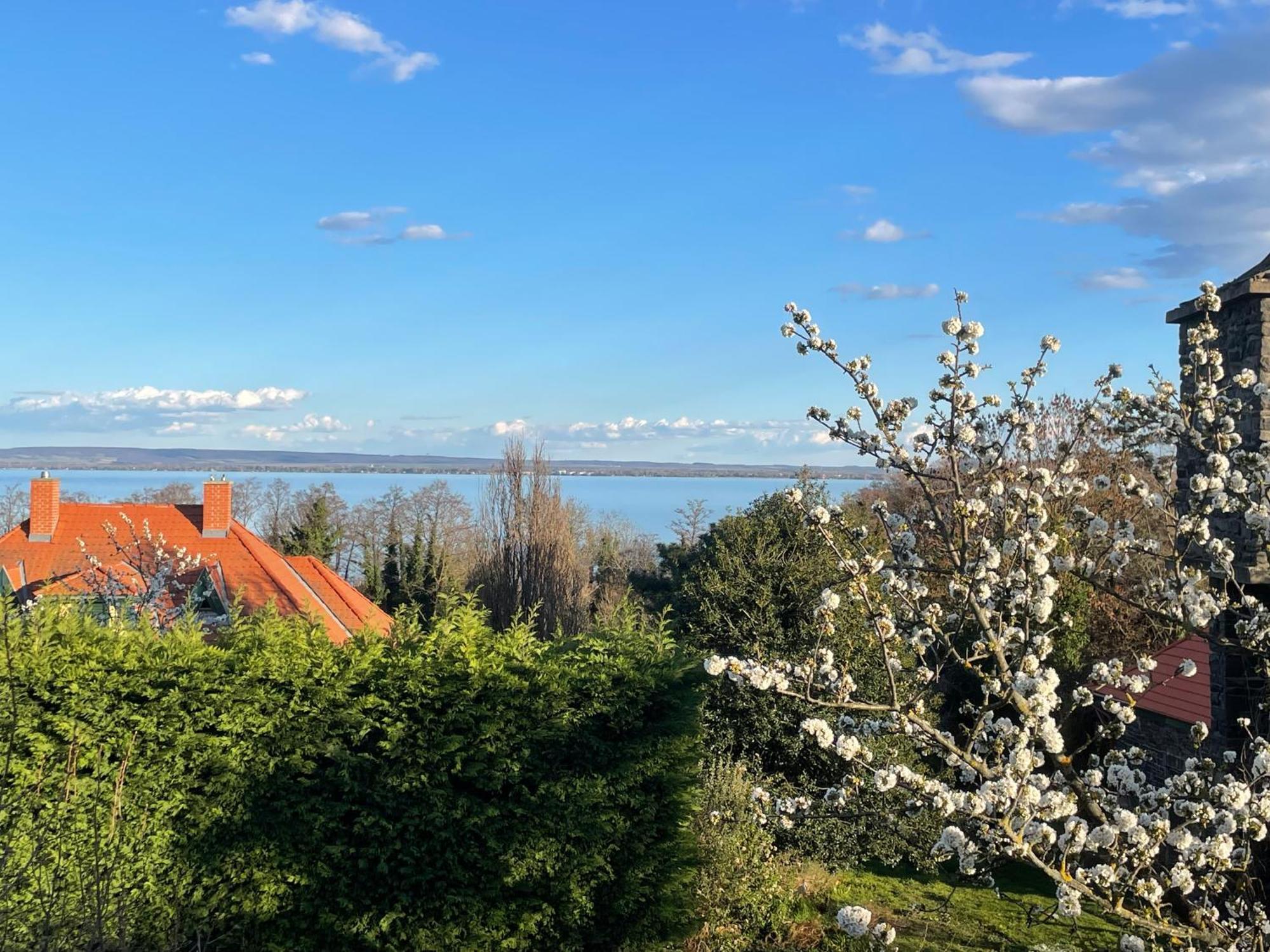 Szoegedi Villa Badacsonytomaj Exteriör bild